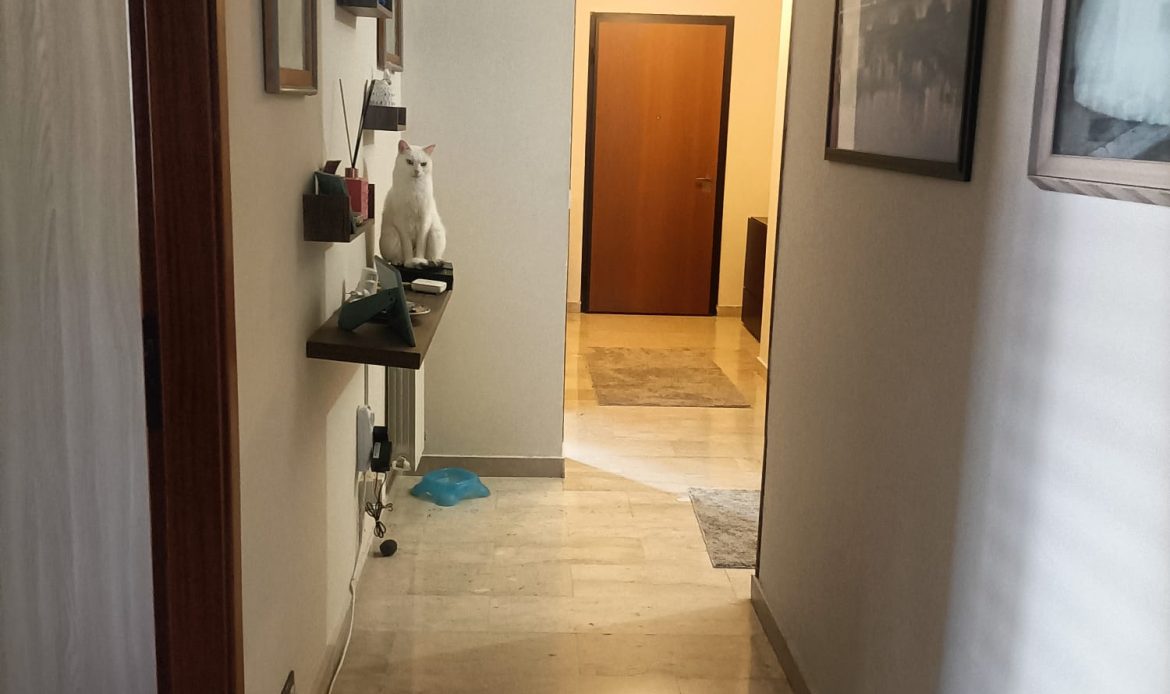 Galleria delle proprietà