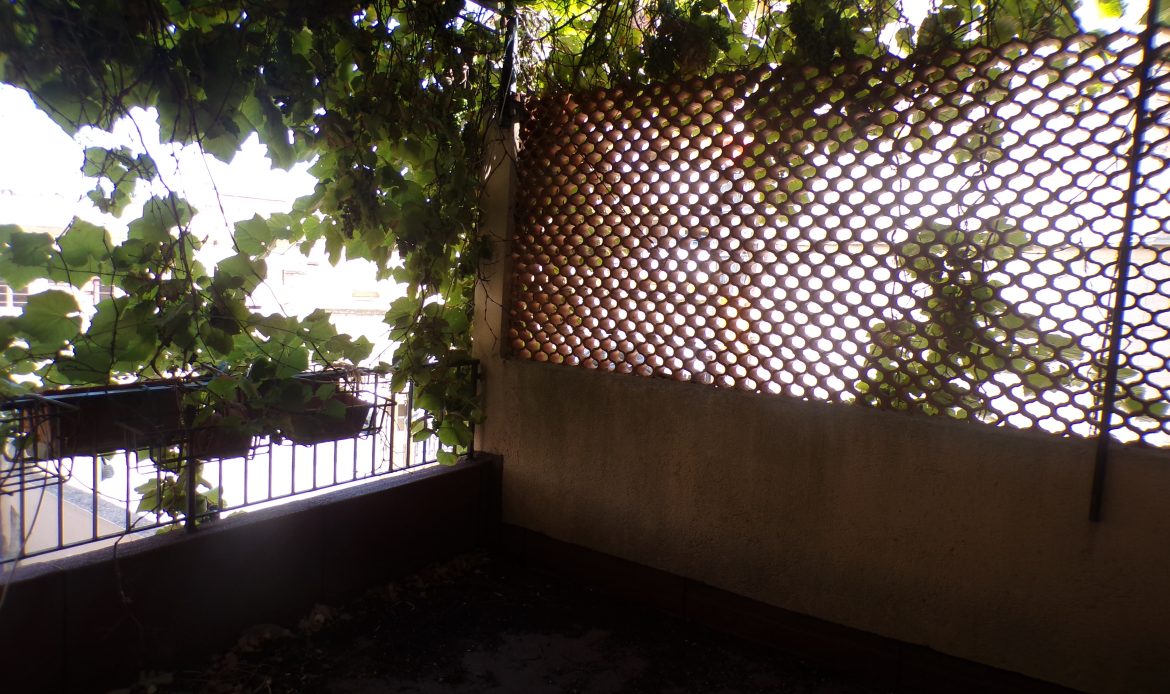 Galleria delle proprietà